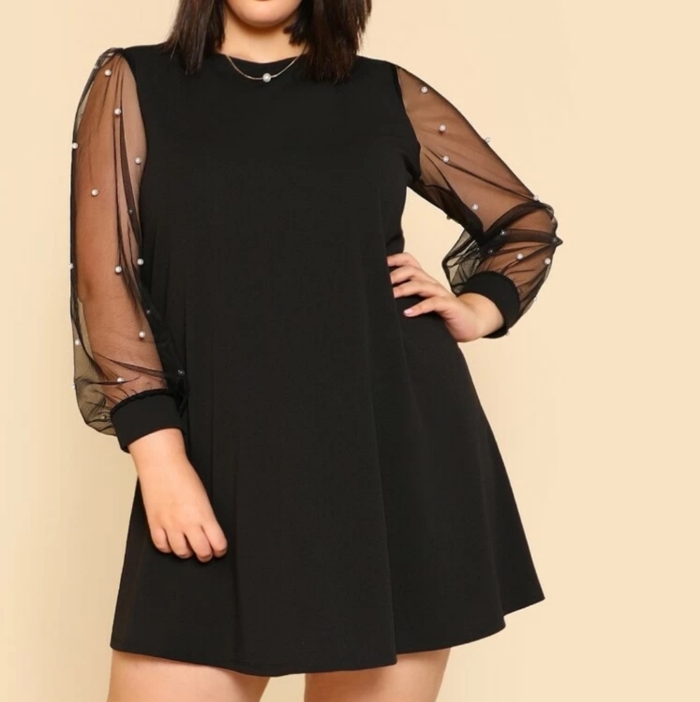 Pearl Mesh Sleeve Dress